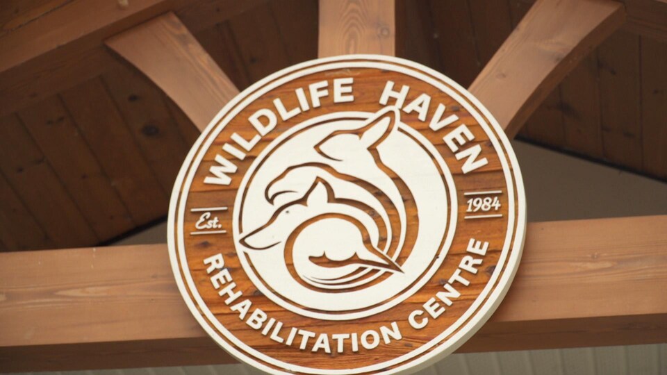 L'enseigne de Wildlife Haven pris en photo le 4 août 2021.