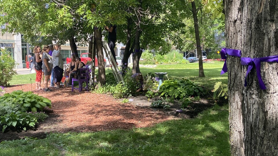 Des rubans violets accrochés dans un parc.