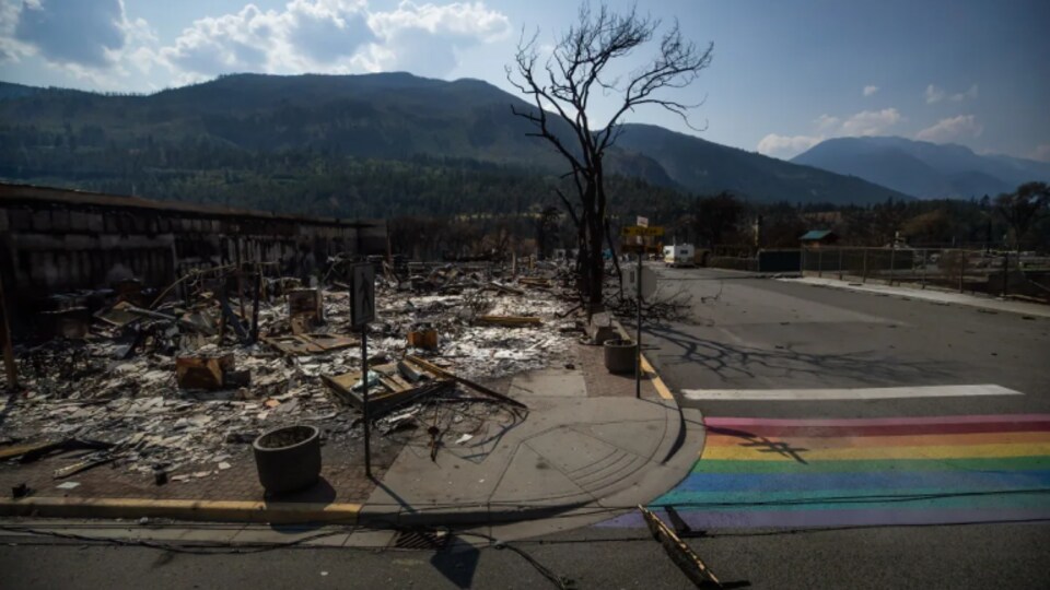 Un arbre sans feuilles devant un pâté de maisons détruit par les flammes.