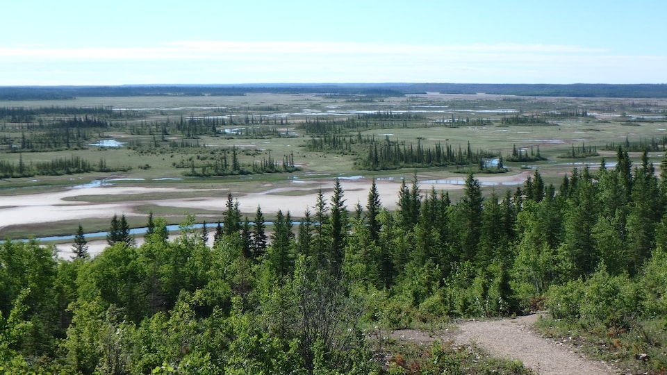 Le parc national de Wood Buffalo en 2018.