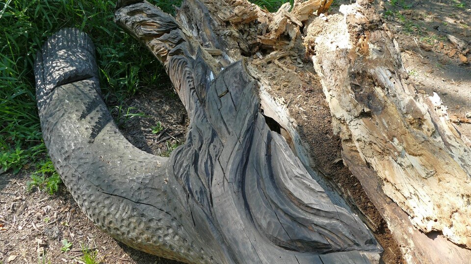 Une sculpture taillée dans un arbre tombé au sol.