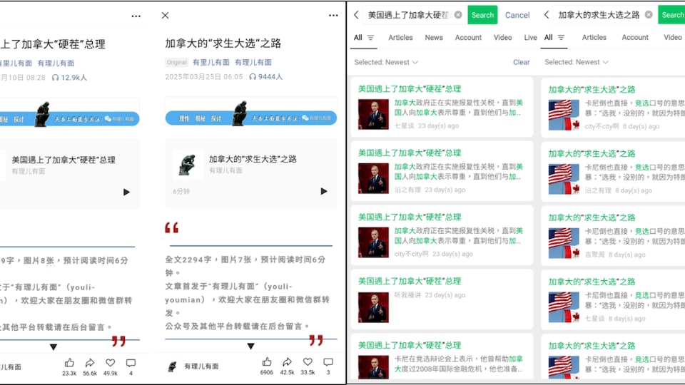 [Image: youli-youmian-weixin-ingerence-chine-ele...erence.png]