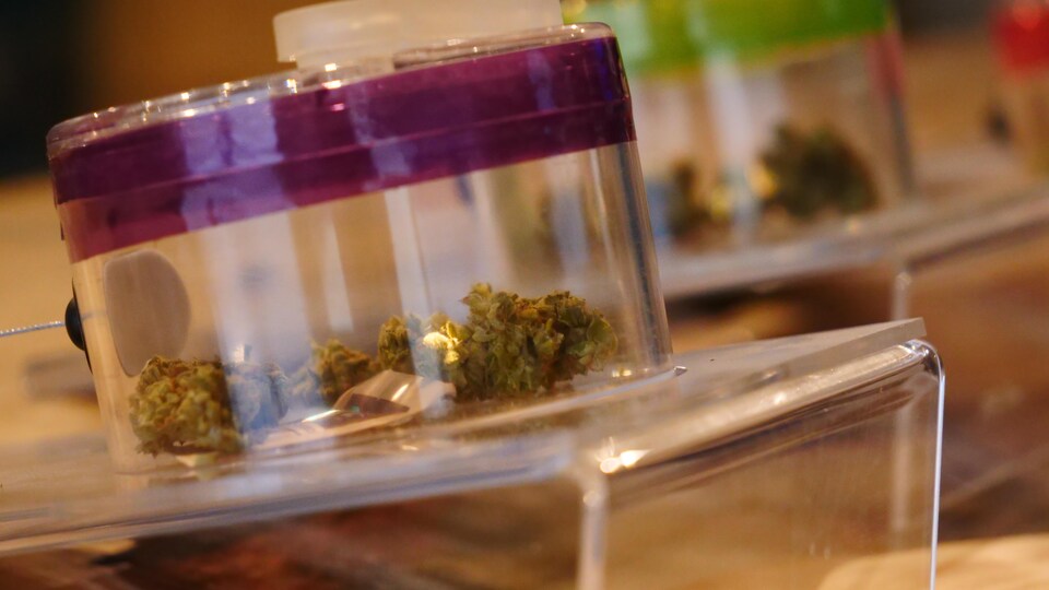 Du cannabis dans un bocal.
