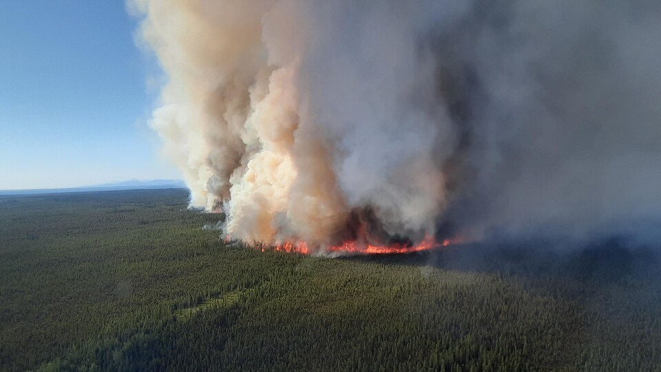 Un feu de forêt aperçu du haut des airs.