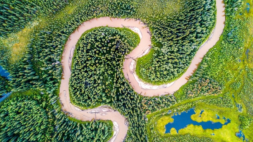 La rivière Indian, au sud de Dawson, au Yukon, vue de haut.