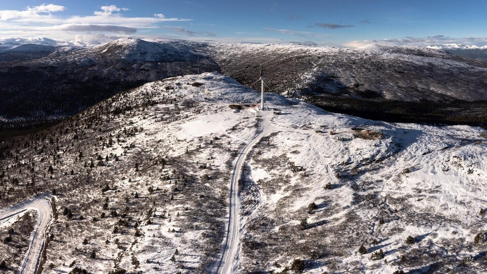 Vue aérienne du site de Haeckel Hill.
