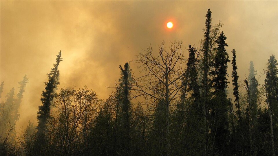 Fumée épaisse avec le soleil en arrière-plan.