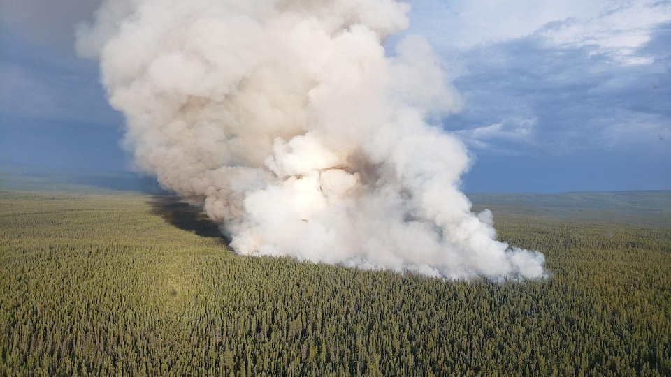 Fumée intense au dessus de la forêt.