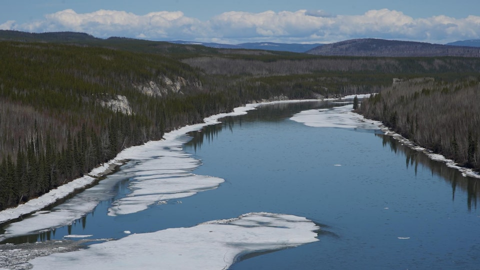 Un fleuve s'écoule au milieu de la forêt boréale,