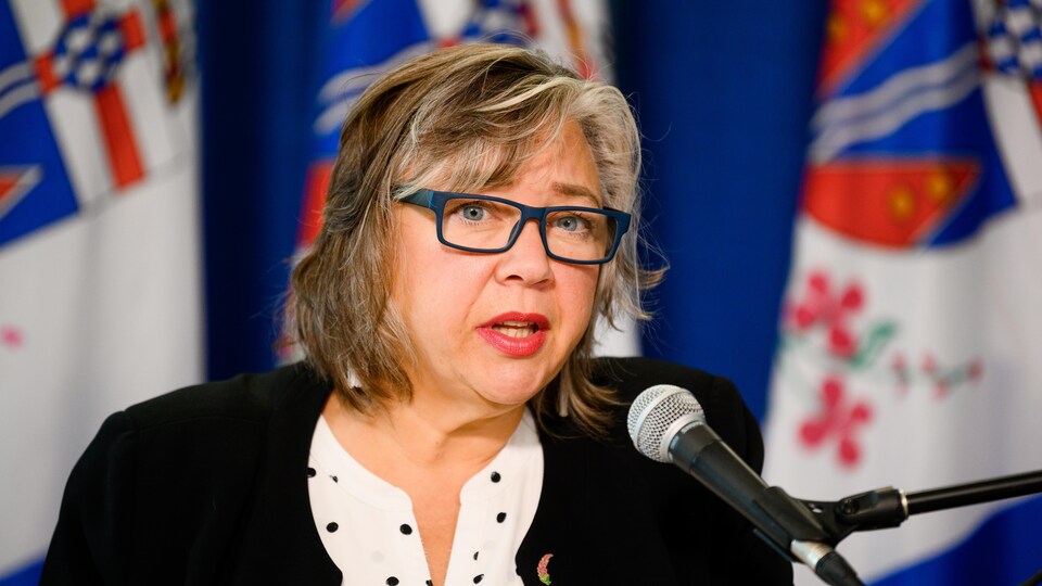 Tracy-Anne McPhee parle dans un micro devant des drapeaux lors d'une conférence de presse en novembre 2020.