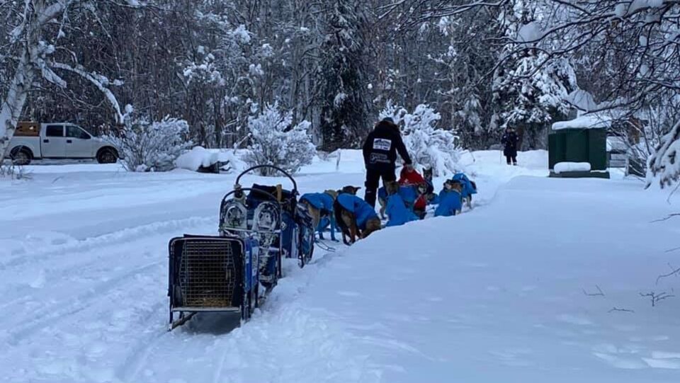 Un des pilotes d'attelage est debout à côté de ses chiens lors de la Yukon Quest.