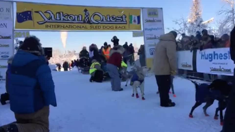 Des gens s'intéressent à des chiens de traîneau sous une bannière marquant la ligne de départ du Yukon Quest.
