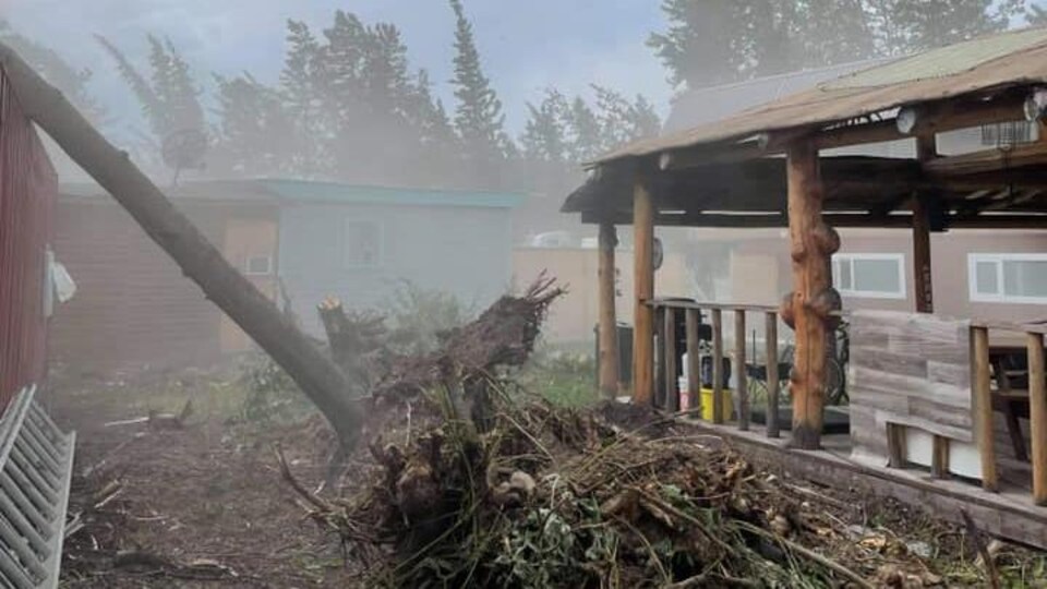 Un arbre est tombé sur un bâtiment.