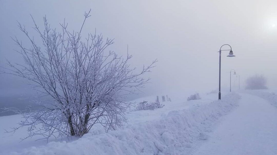Paysage givré le long d'un sentier.