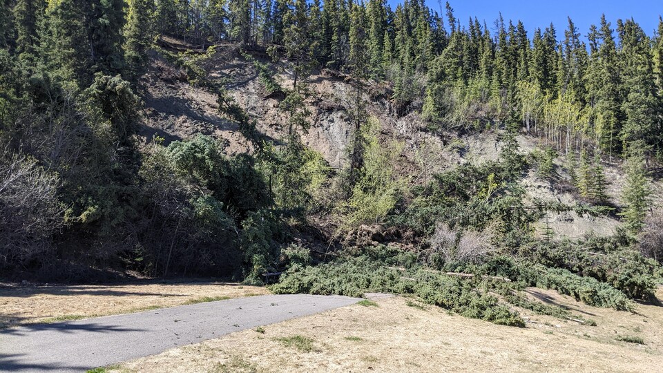 A slippery road on a paved walkway.  Photo taken near May 28.