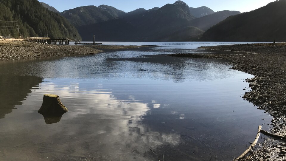 De l'eau avec un quai et des montagnes près de Zeballos, en Colombie-Britannique. 