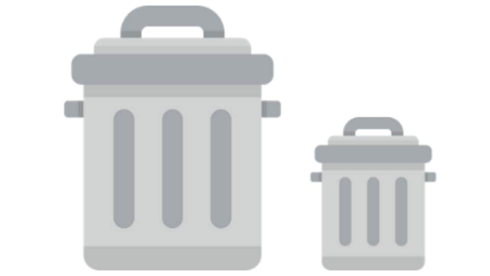 Deux poubelles : une grande et une petite