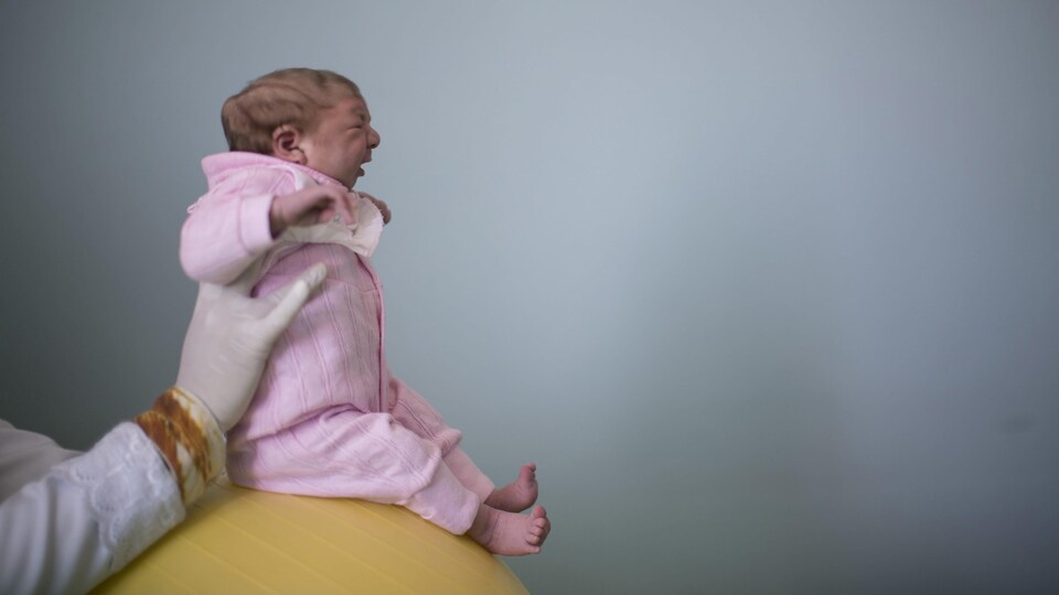 Photo du 12 février 2016 montrant Sophia, âgée de deux semaines et atteinte de microcéphalie, à Campina Grande, au Brésil