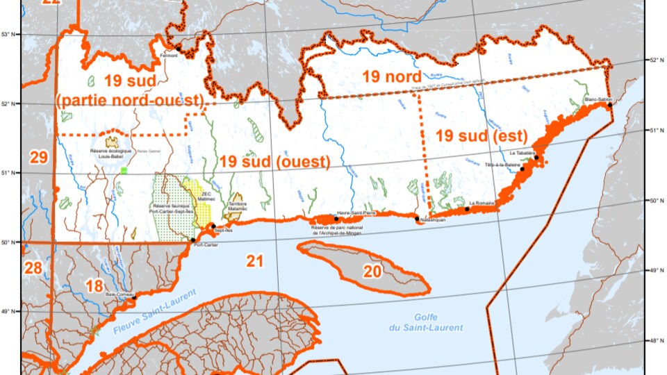 La chasse à l'orignal à l'arme à feu s'amorce samedi dans l'est de la