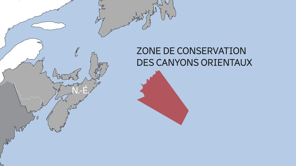La zone de conservation au large de la Nouvelle-Écosse.
