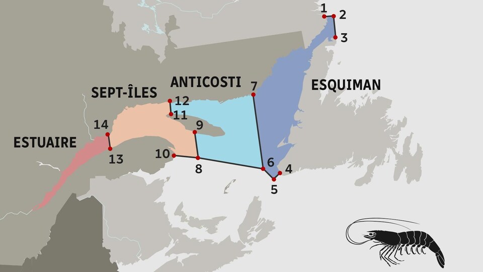 Zones de pêche à la crevette dans le golfe du Saint-Laurent.