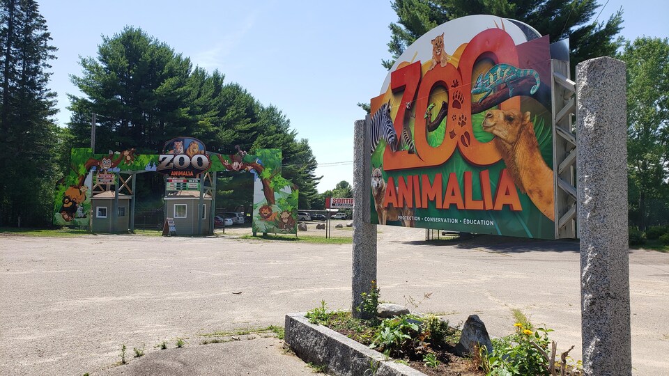 L’ancien et controversé zoo de Saint-Édouard, maintenant appelé Animalia, a procédé à une première ouverture depuis 2018, samedi matin.