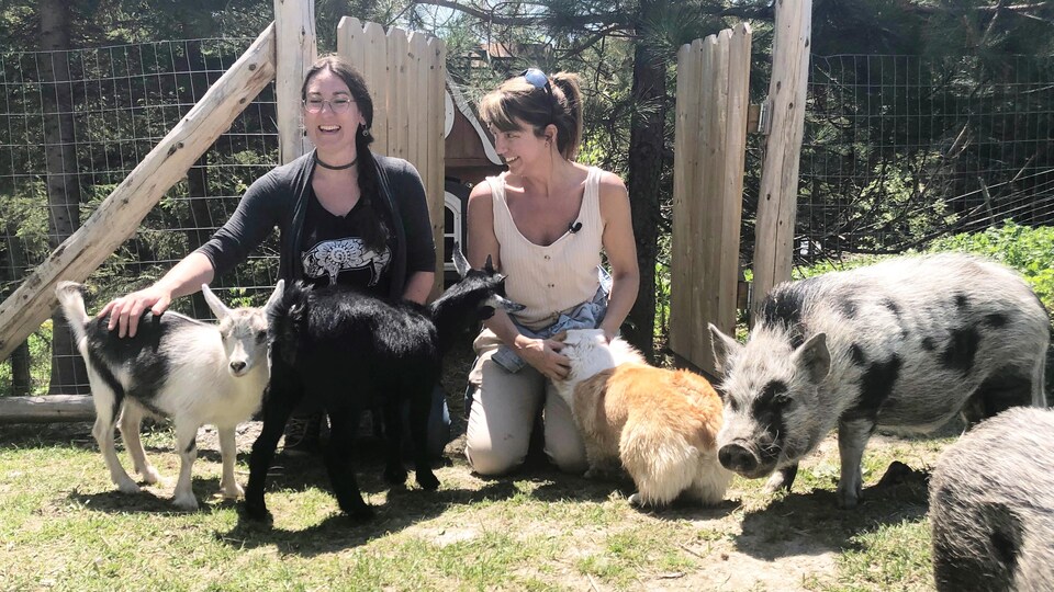 Deux femmes entourées de deux chèvres, d'un cochon et d'un chien dans une cour ensoleillée.