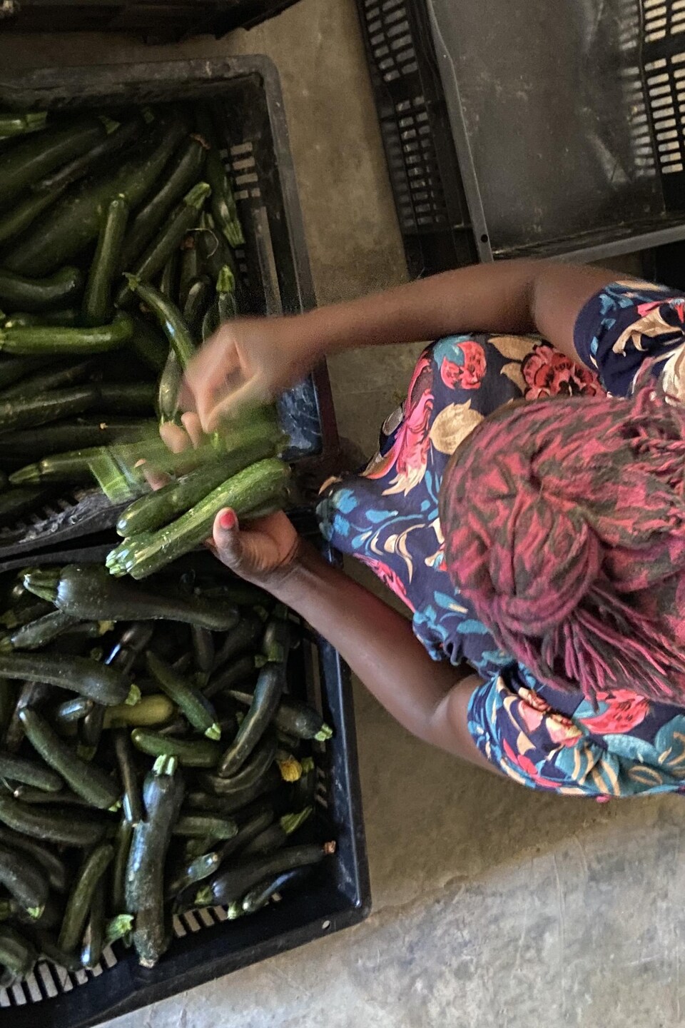Des légumes triés.