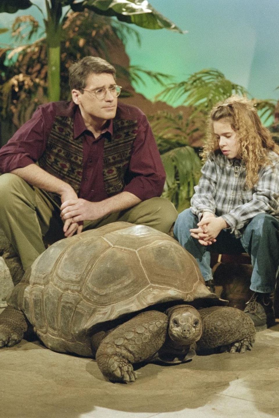 En studio, Pierre Poirier, Mélanie Muniz, Patrick Healey et Sylvie Lussier sont assis autour d'une tortue géante.