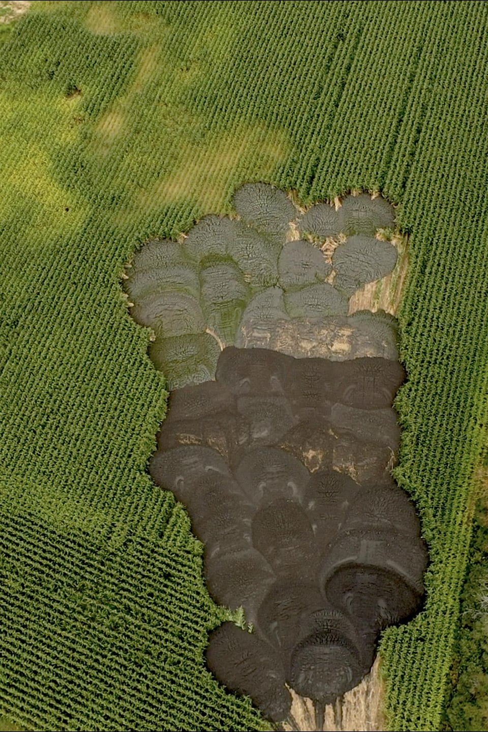 Vue aérienne d'un amoncellement de boues.