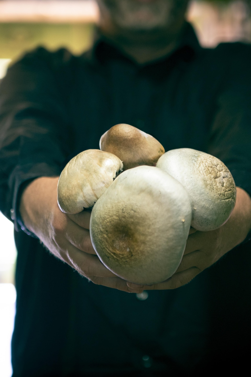 Dana Larsen tient des champignons dans ses mains.