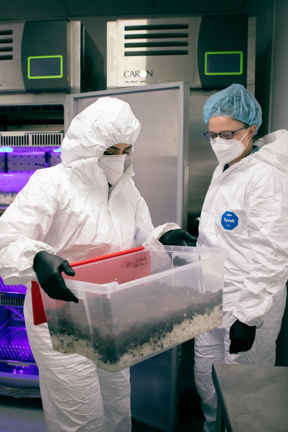 Des employés de laboratoire dans une salle de conservation de champignons.