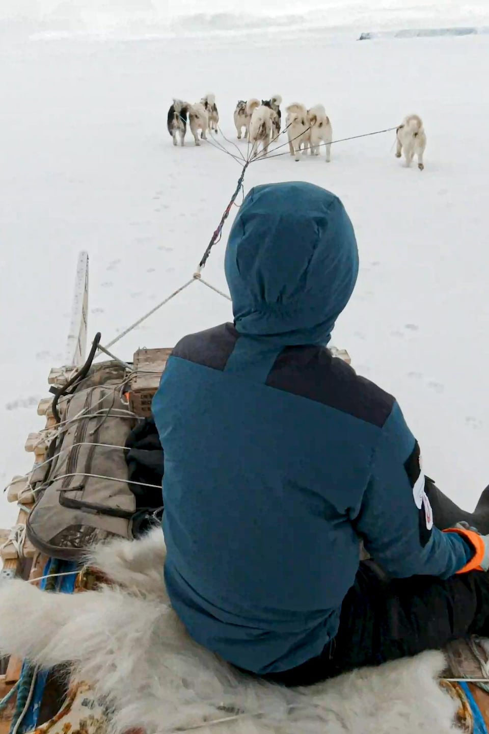 Devon Manik sur son traîneau, un fusil à la main, sur la banquise, au mois de juin près de Resolute Bay, dans le nord du Nunavut.