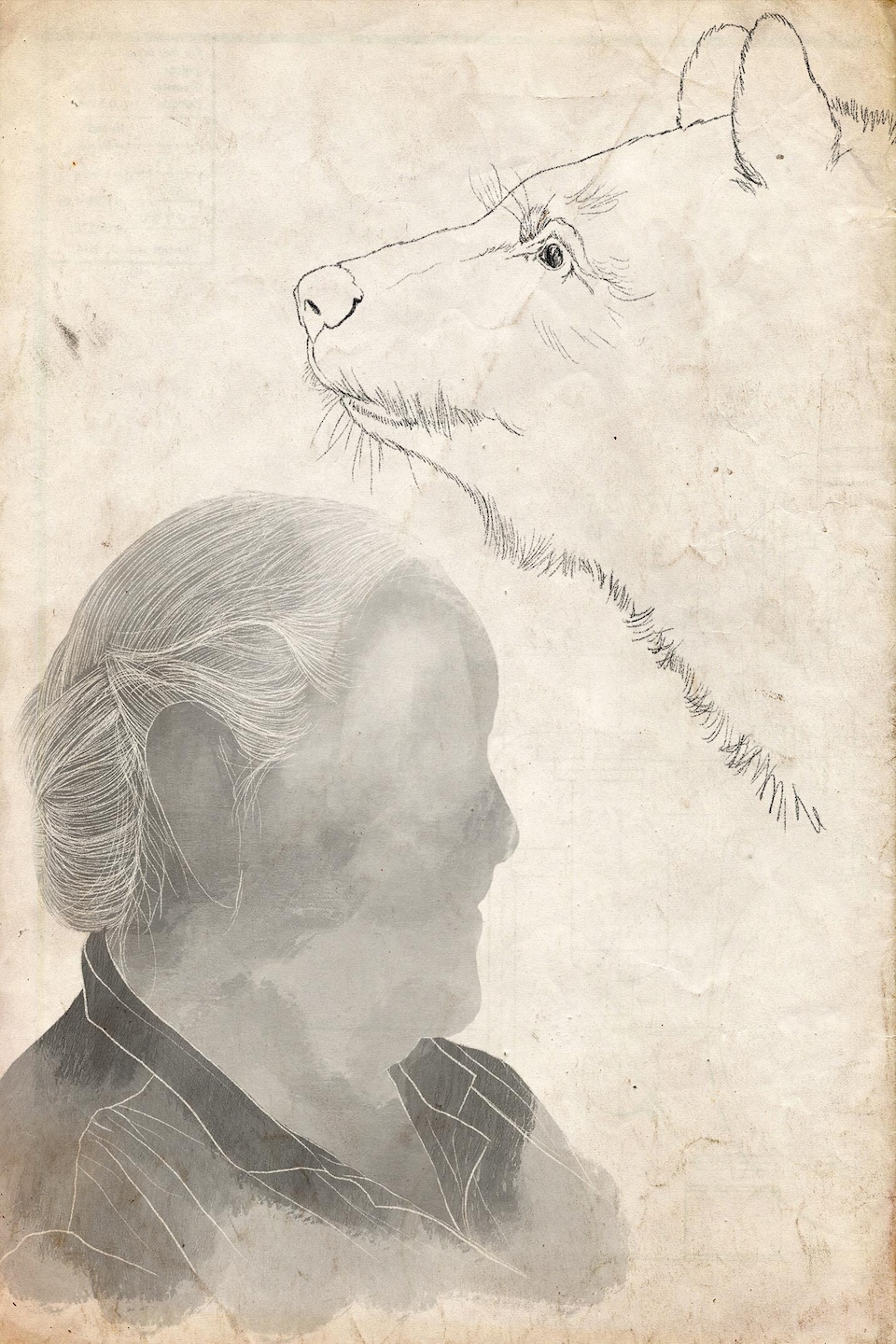 Illustration d'une femme sans visage face à un ours.