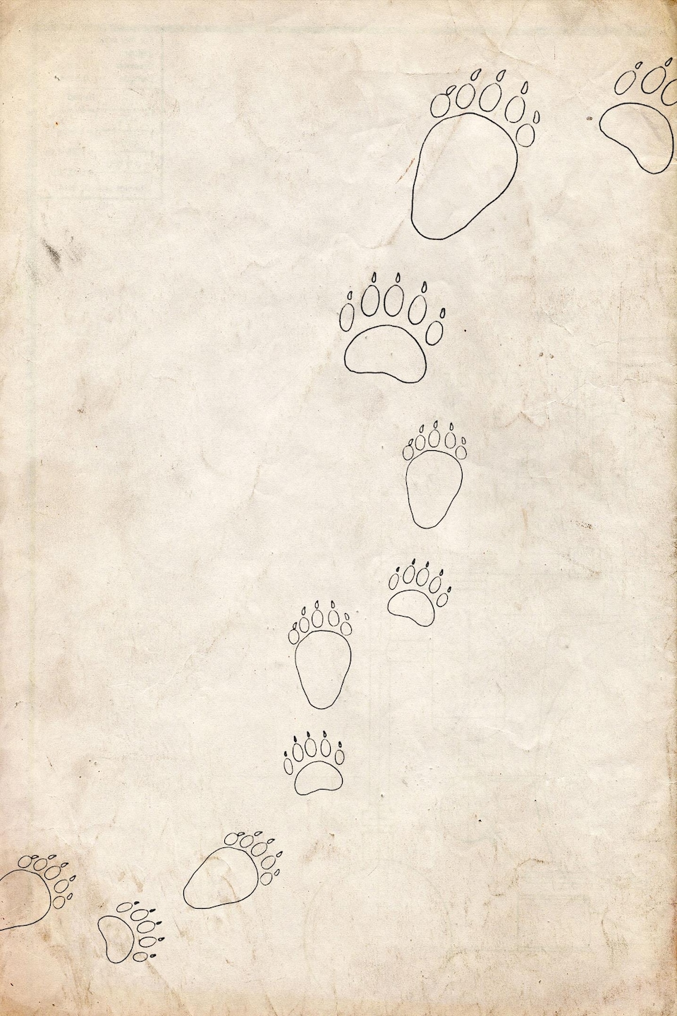 Illustration de pattes d'ours.
