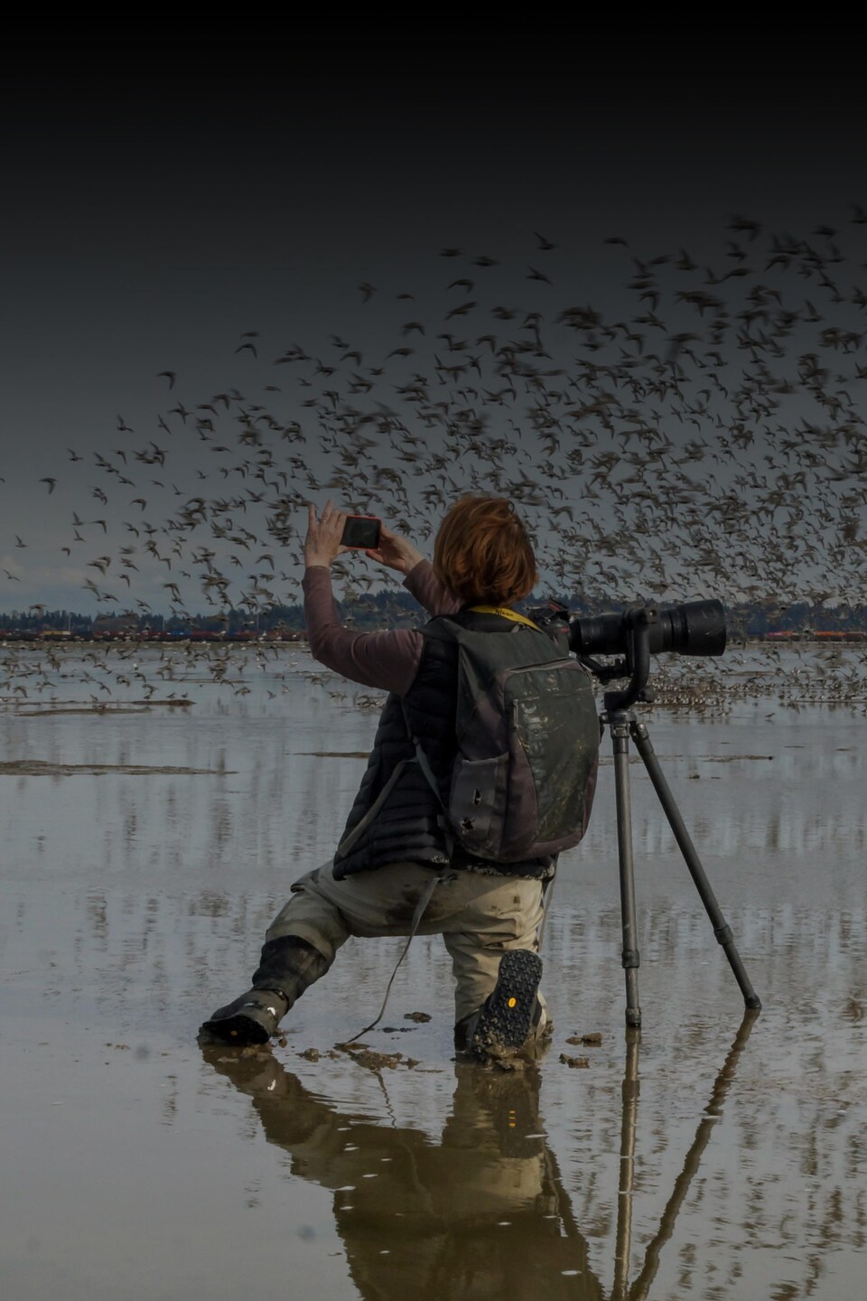 La photographe Isabelle Groc prend une photo d'oiseaux qui s'envolent.