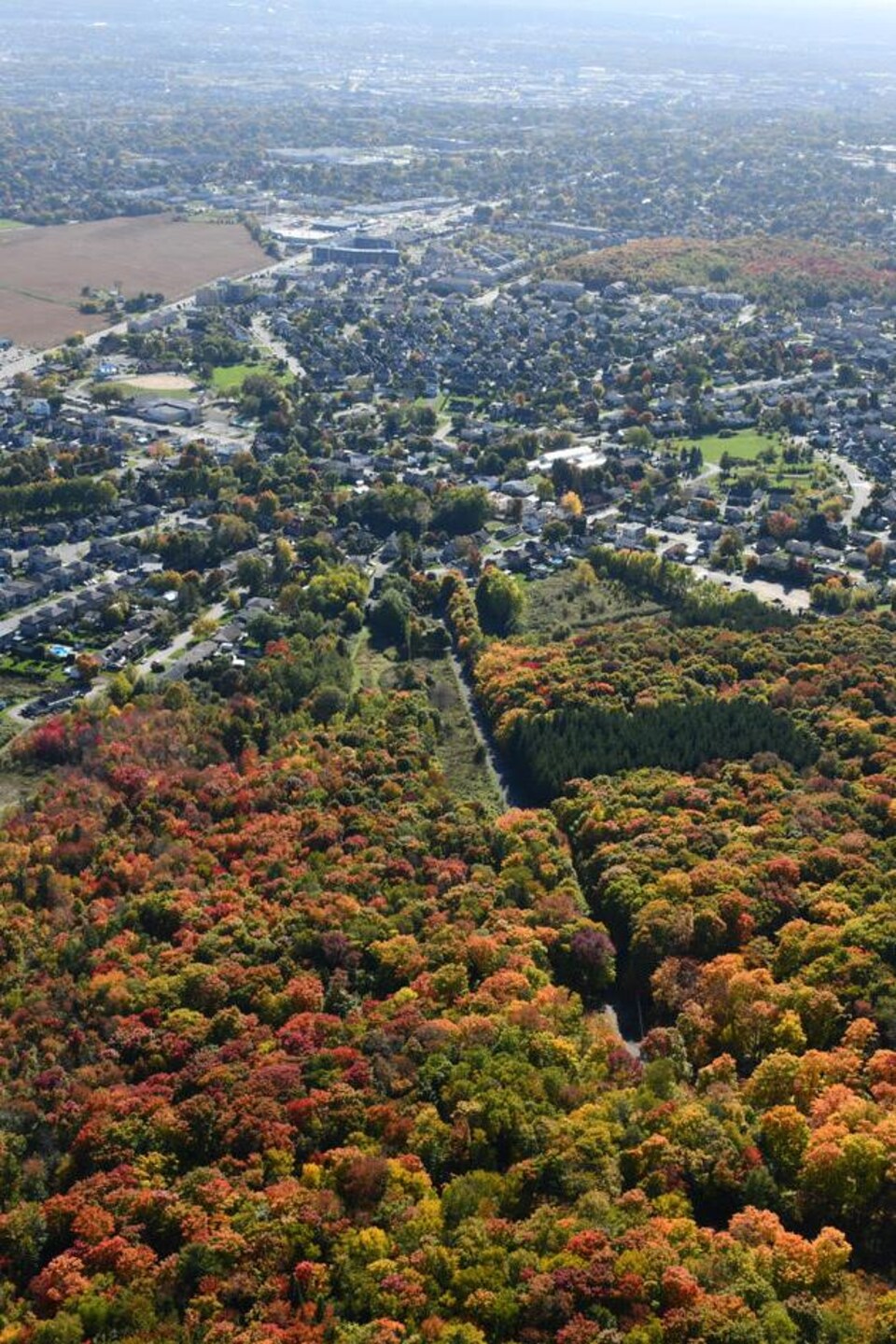 Une ville avec un boisé imposant vue du ciel.