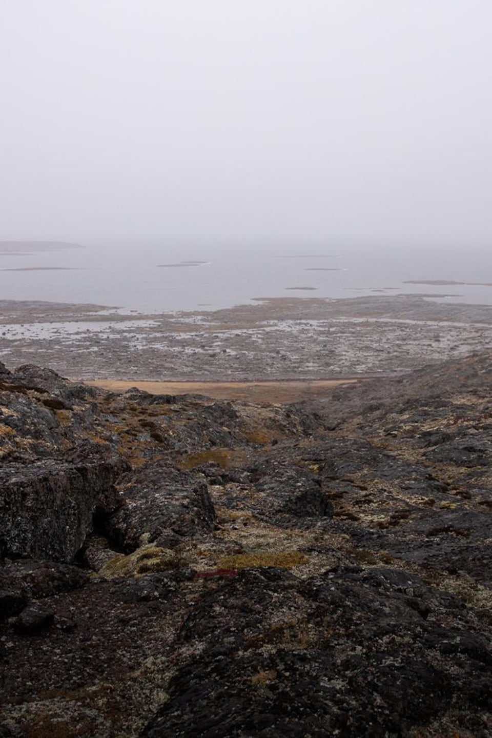 De la toundra et de l'eau de la Baie d'Ungava dans le brouillard.