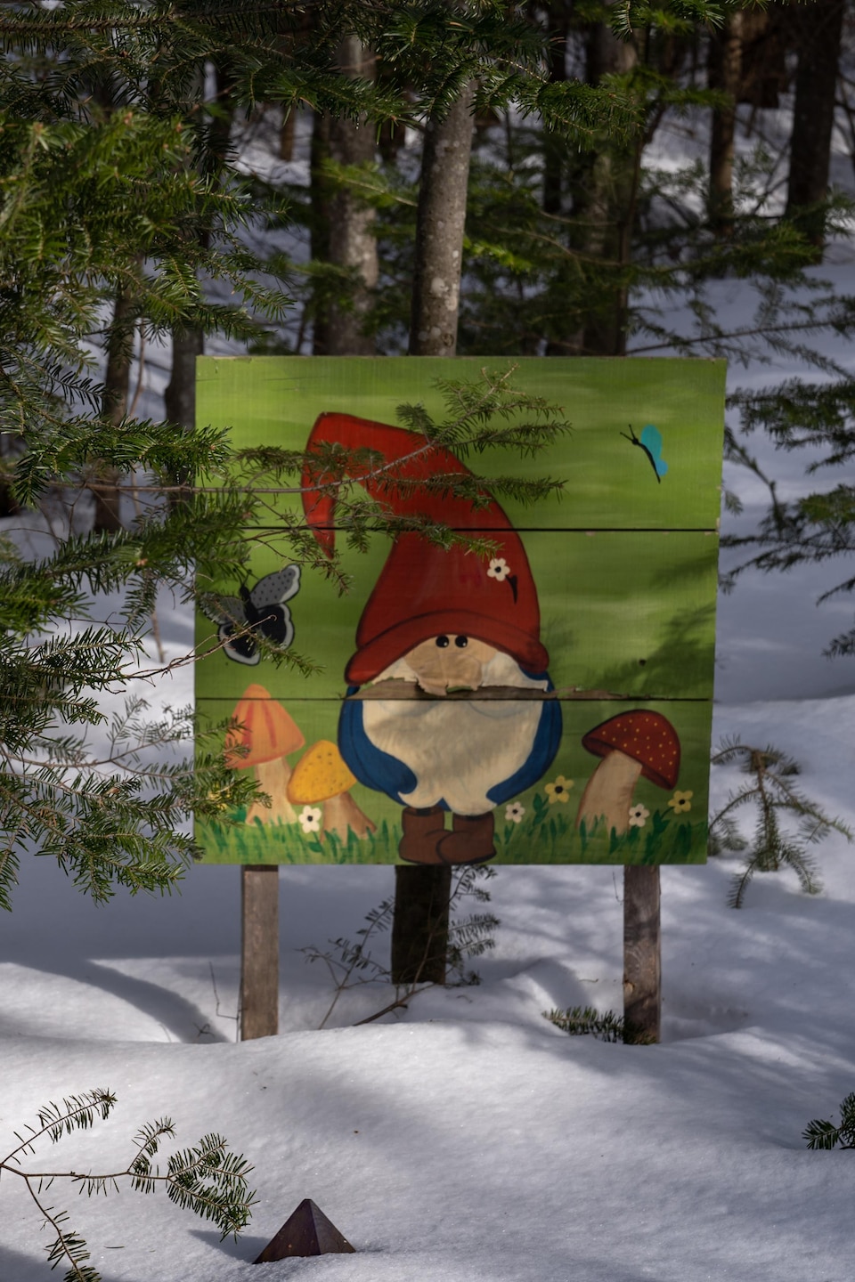 Des décorations installées un peu partout dans la forêt. À droite, il y a une pancarte avec une peinture de lutin et à gauche, il y a une petite cage d'oiseau rouge accrochée à un arbre.