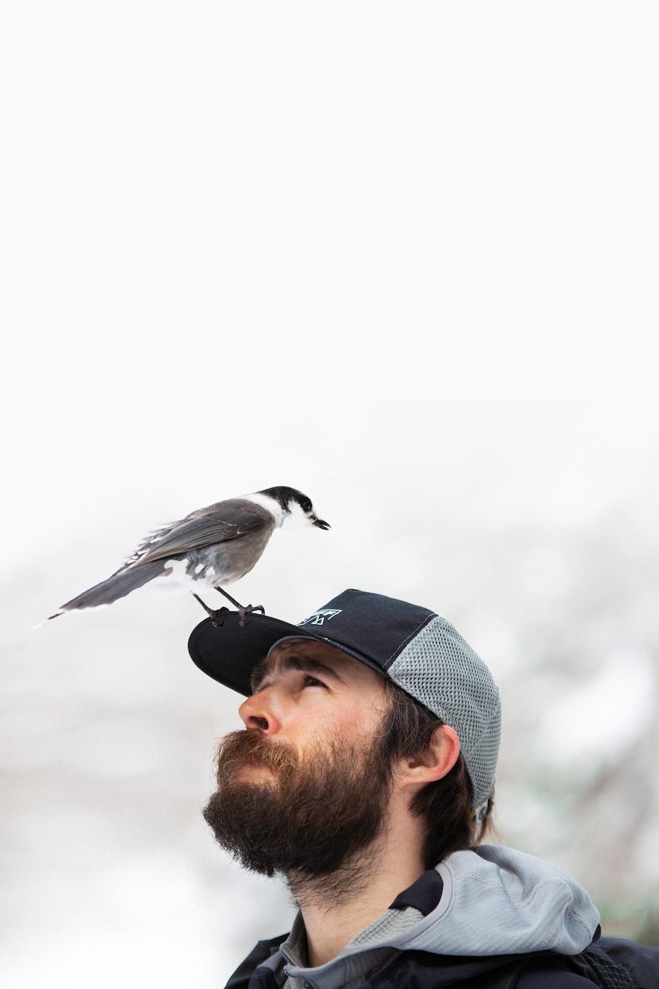 Un homme avec une barbe qui porte une casquette. Sur celle-ci, un oiseau est posé.