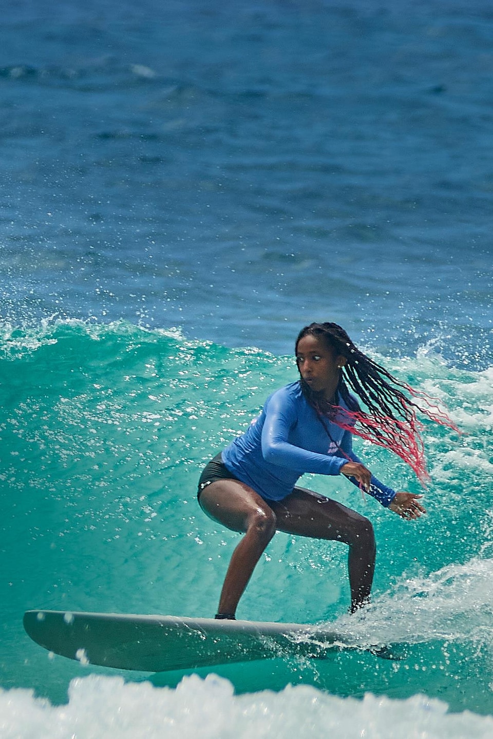 Juniper qui surf sur une vague dans les eaux de la Barbade.