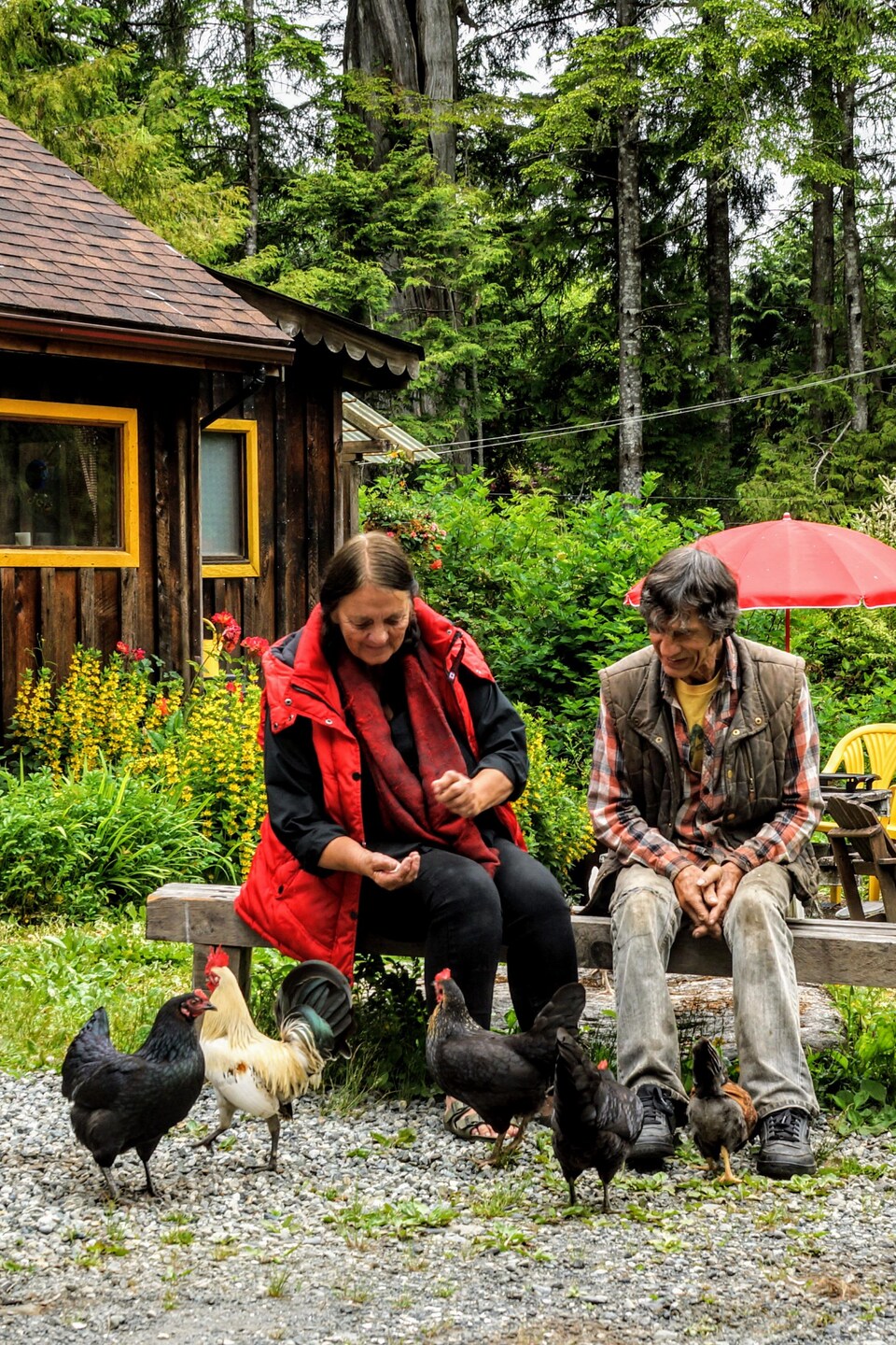 Gisèle et Verne Bruhwiler, assis sur un banc dans leur cour, donnent à manger à des poules.