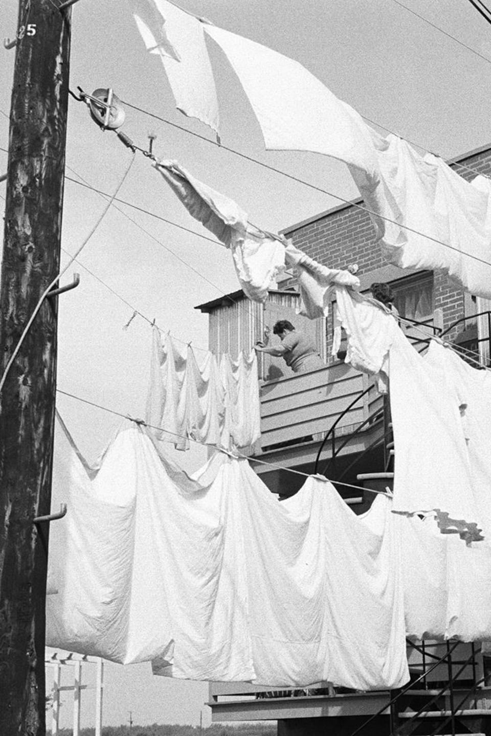 Draps flottant au vent sur des cordes à linge.
