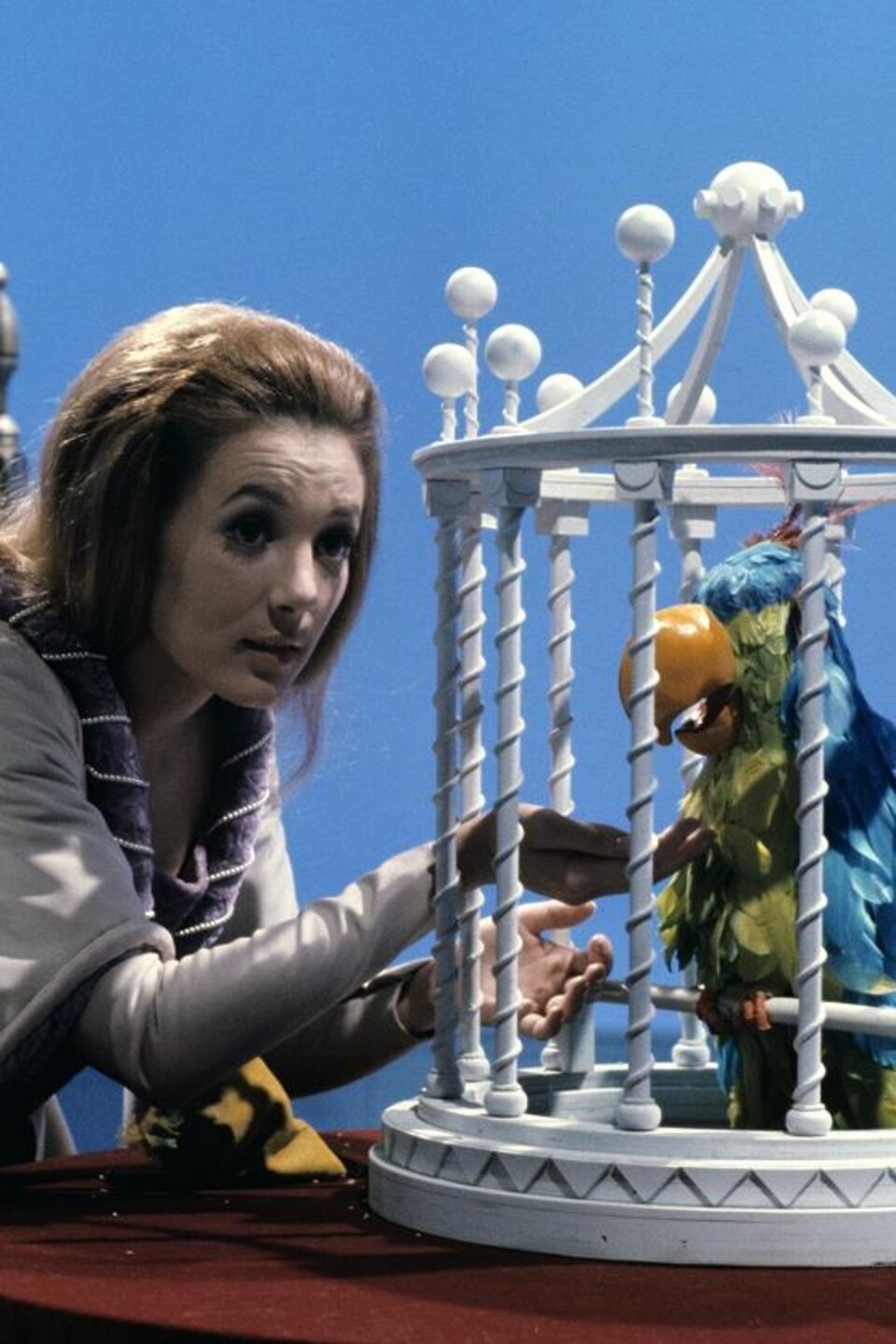 La princesse (Marie-Josée Longchamps) donnant des grains à un perroquet dans une cage près du trône du roi.