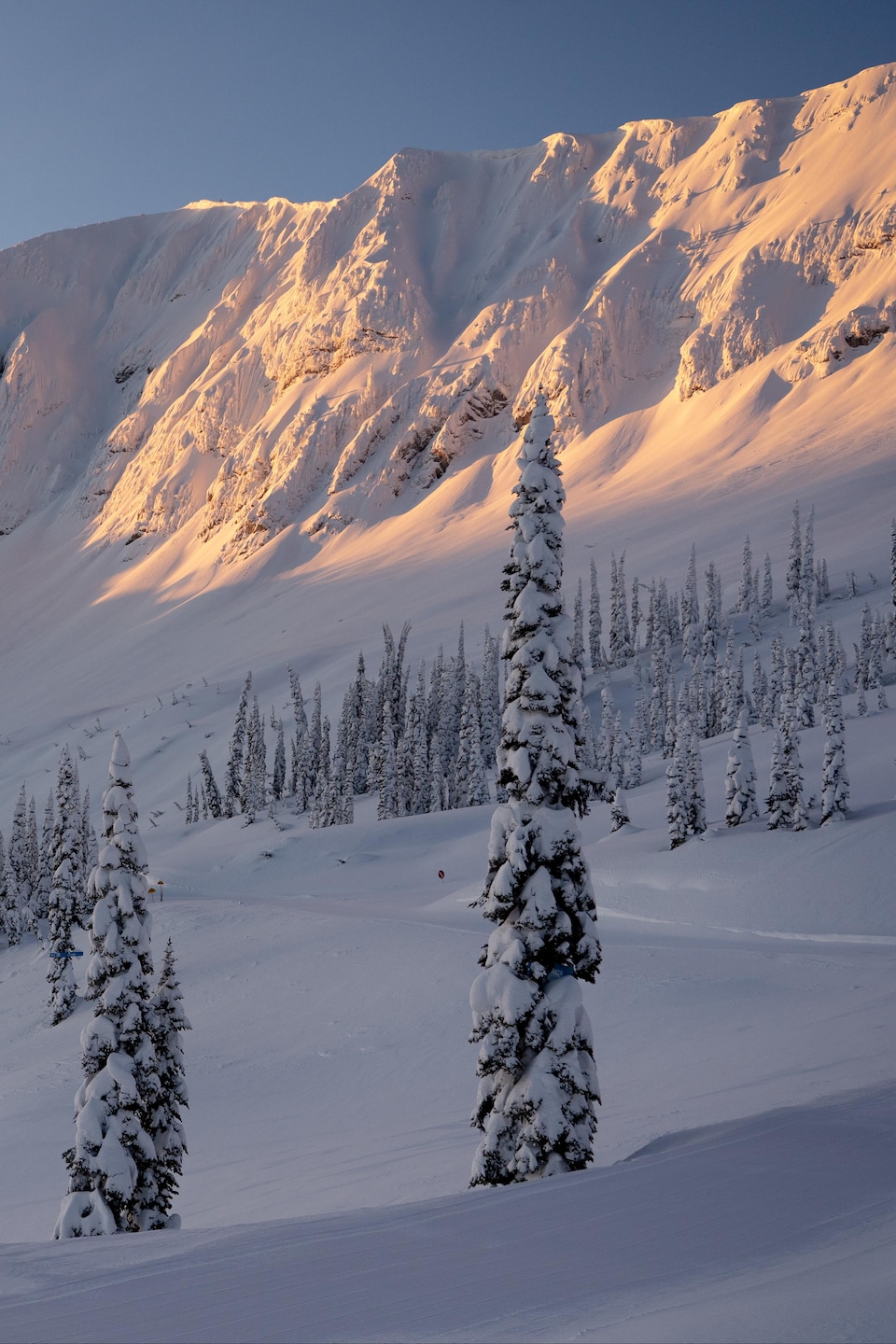 Le soleil se lève sur une montagne couverte de neige avec quelques sapins. 