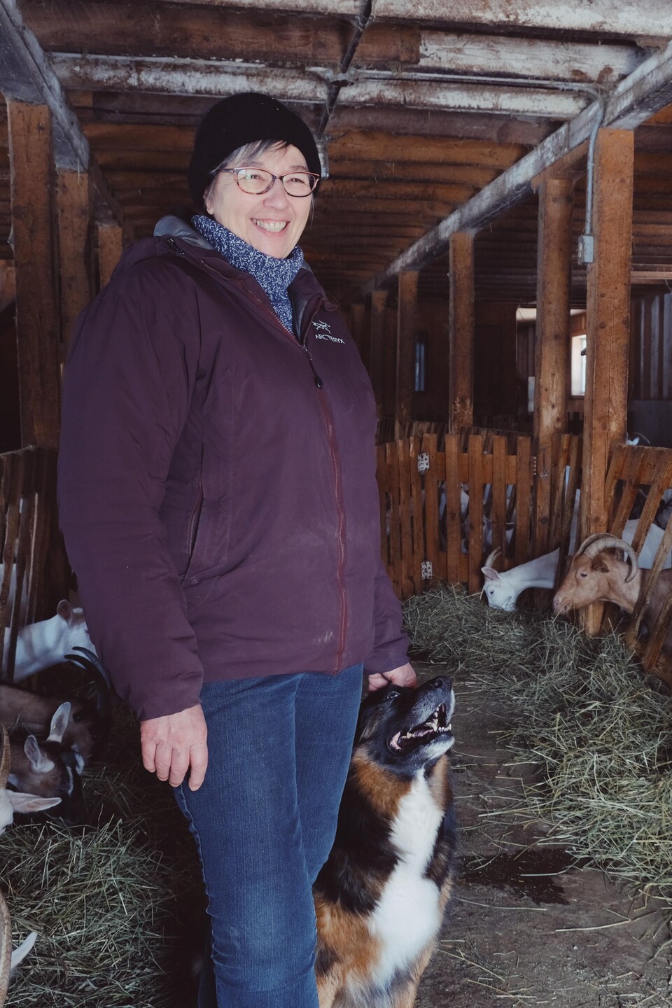 Aagje Denys dans sa chèvrerie aux côtés de son chien.
