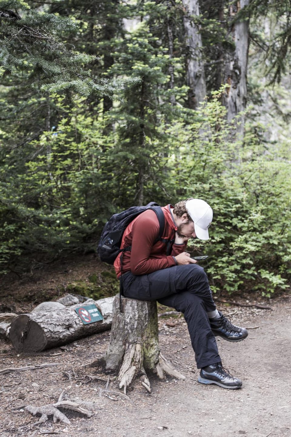 Un homme regarde attentivement son téléphone assis sur un tronc d'arbre.