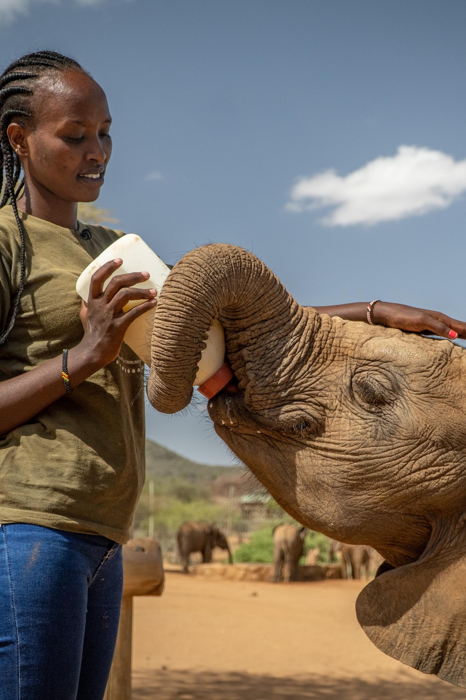 Dorothy Lowuakutuk donne le biberon à un éléphanteau.