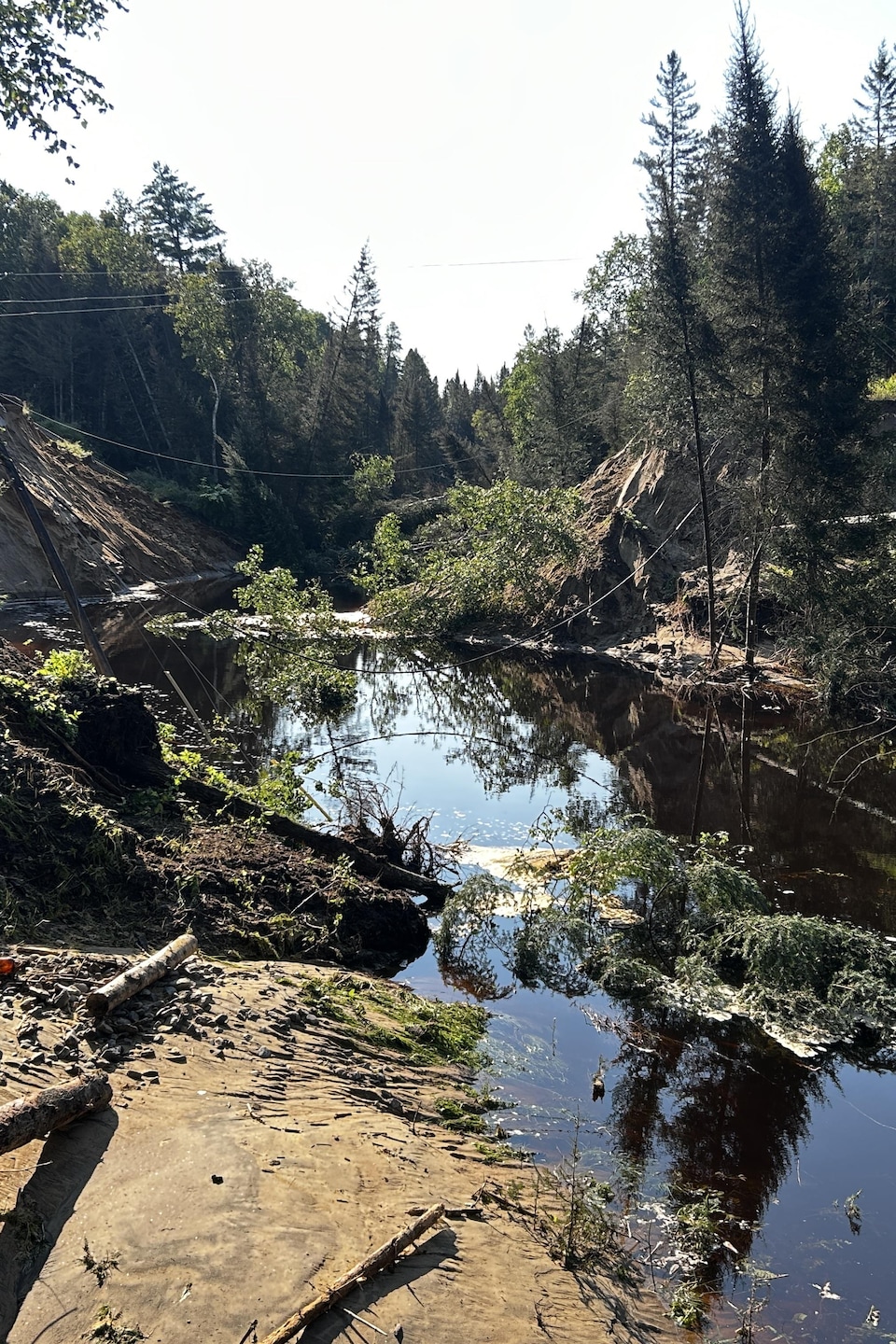 Des arbres et poteaux électriques tombés, dans une cravasse causée par la montée du niveau d'un ruisseau.