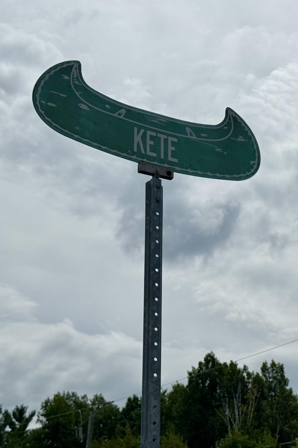 Deux panneaux de rue verts en forme de canot se détachent devant un ciel nuageux et la cime des arbres.